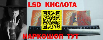 стафф Гатчина