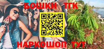 стафф Гатчина