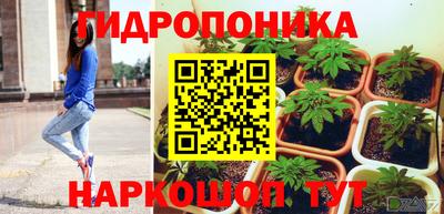 стафф Гатчина