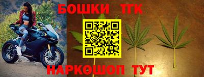 стафф Гатчина