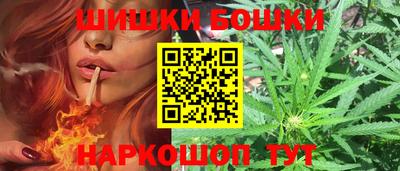 стафф Гатчина