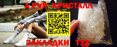 стафф Гатчина