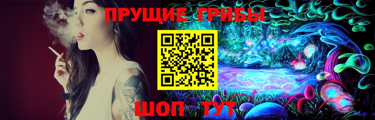 Псилоцибиновые грибы Cubensis Зеленогорск